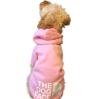 The Dog Face Hoodie for Small to Medium Dogs 3-11KG options available in 2 colours Pink or Black